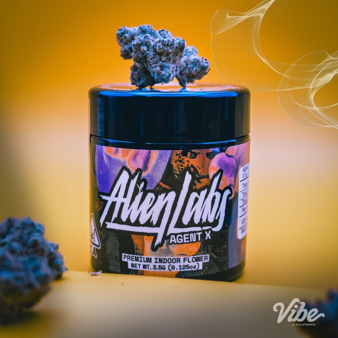 629147694 18341110189209185 1650289606068153463 n