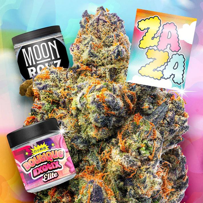 category thumbs 6 01