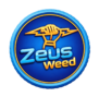cropped logo.png
